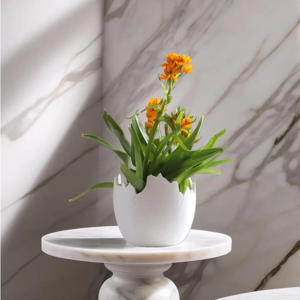 Charming Egg Planters