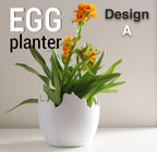 Charming Egg Planters Design A