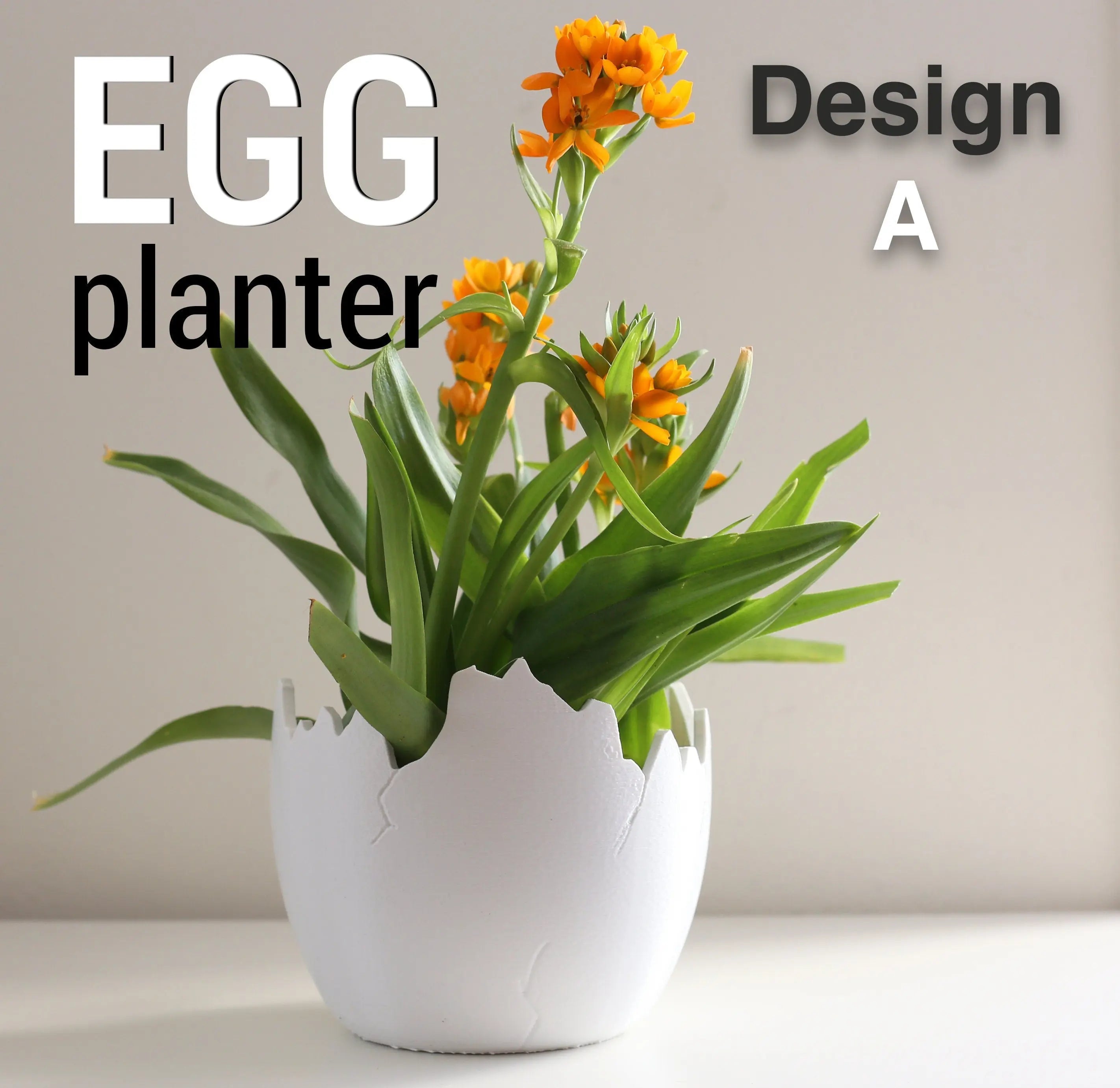 Charming Egg Planters Design A