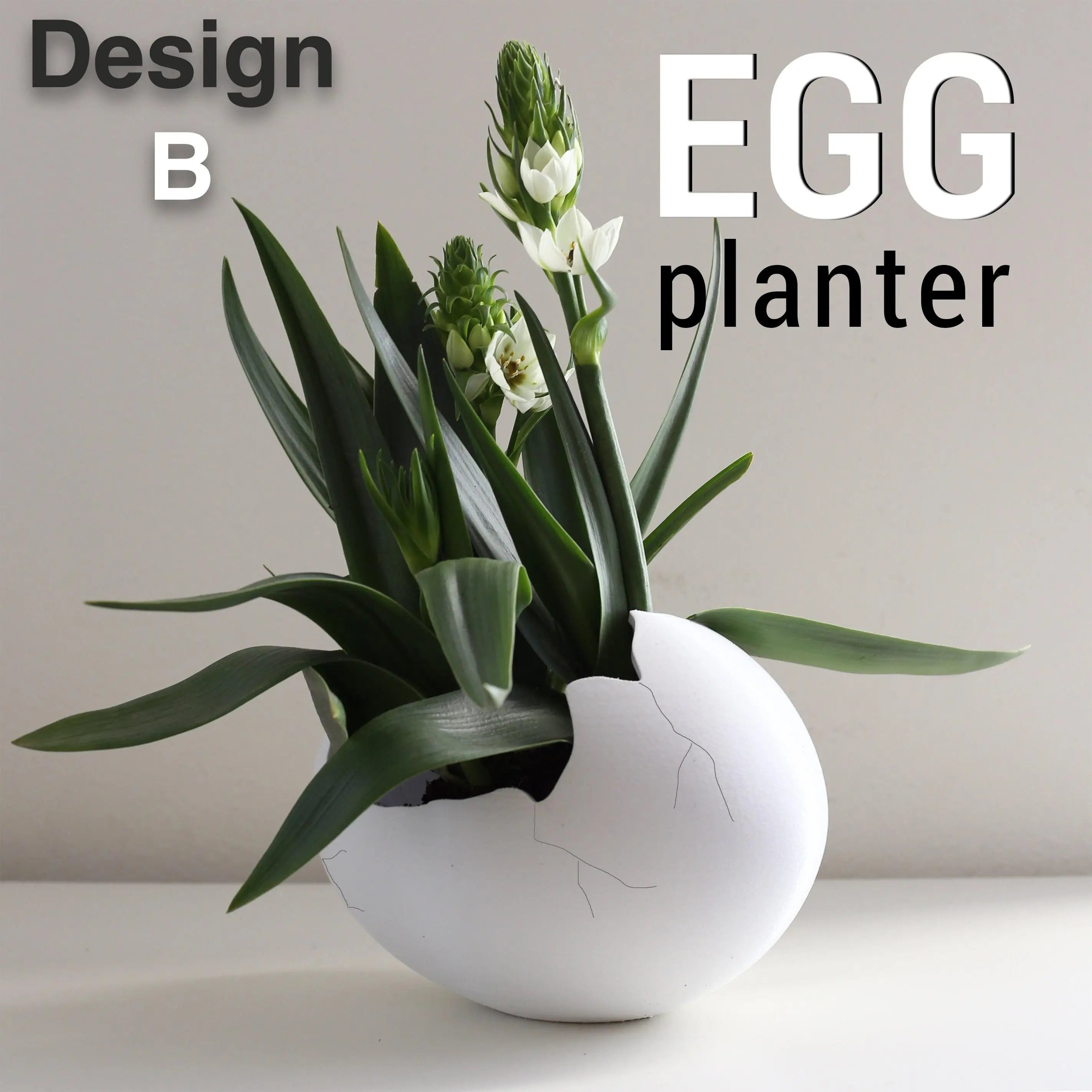Charming Egg Planters Design B
