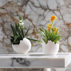 Charming Egg Planters