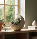 Crescent Moon Planter