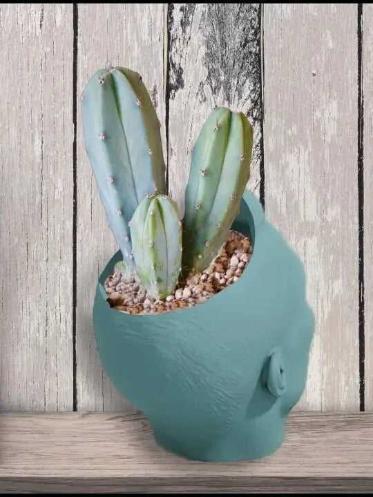 Cristiano Ronaldo Planter Pen Holder