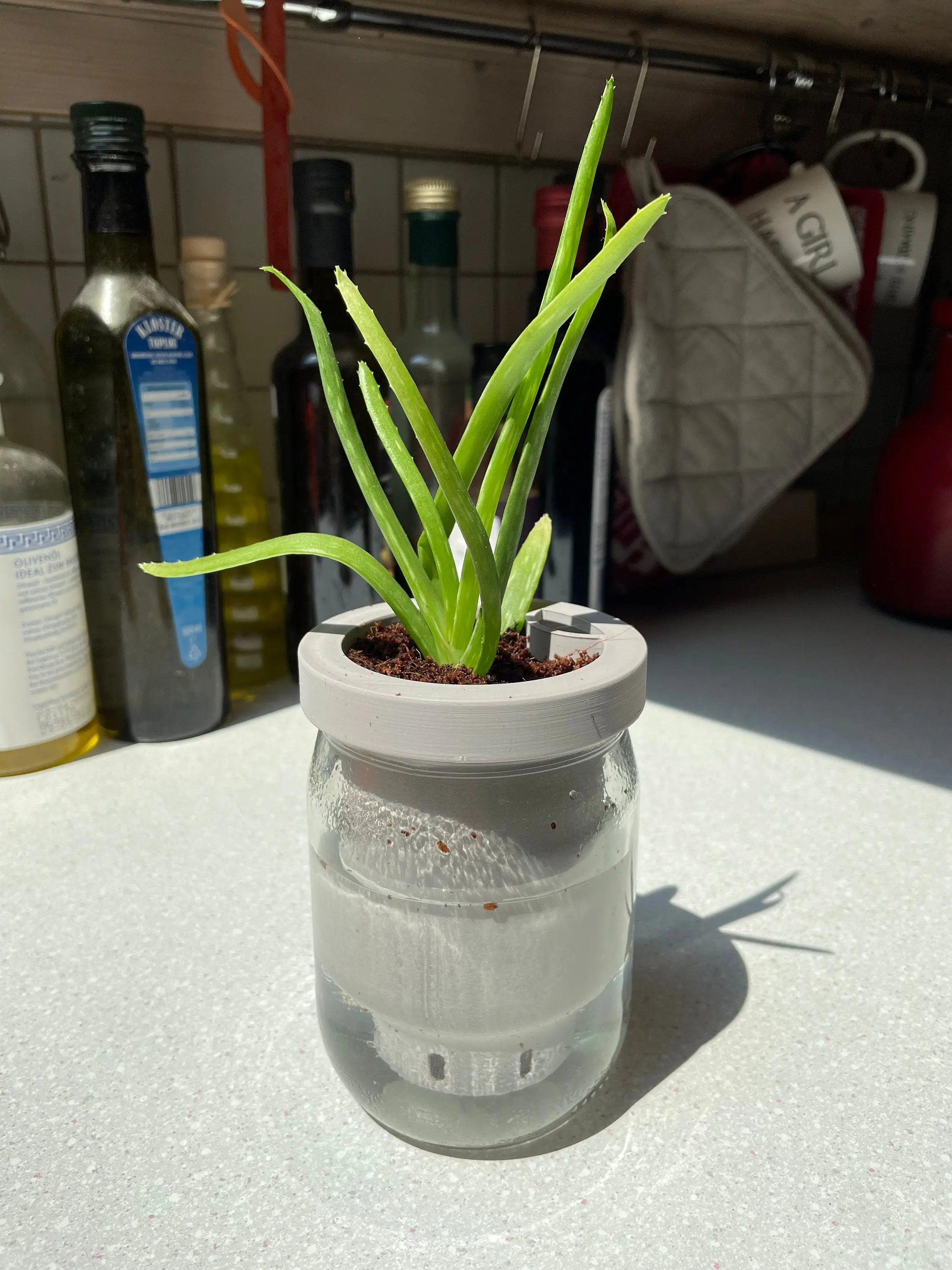 Self-Watering Planter Jar