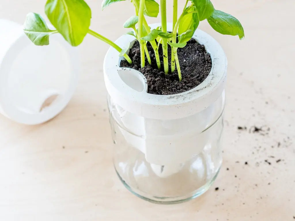 Self-Watering Planter Jar