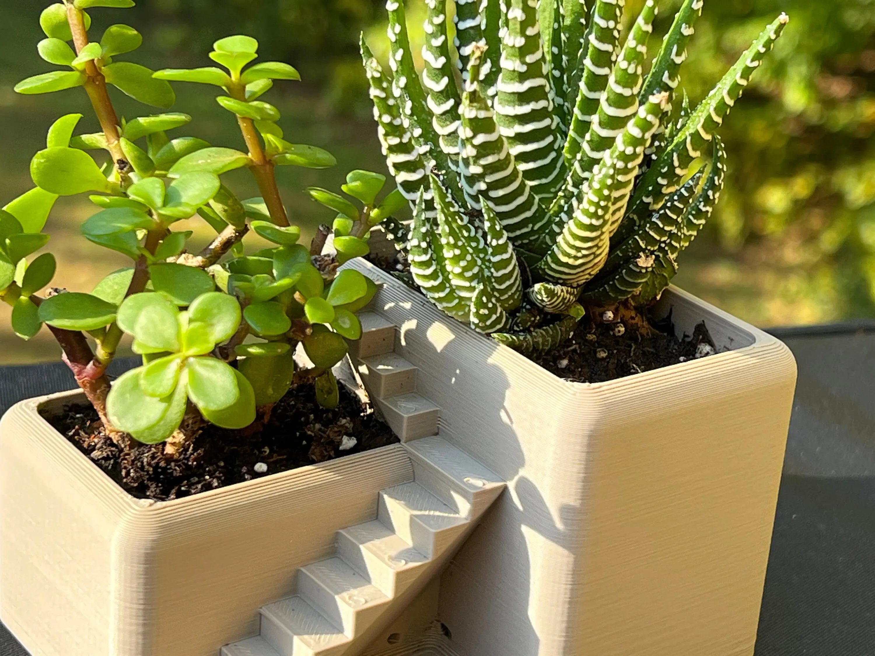 Modern Villa Desk Planter