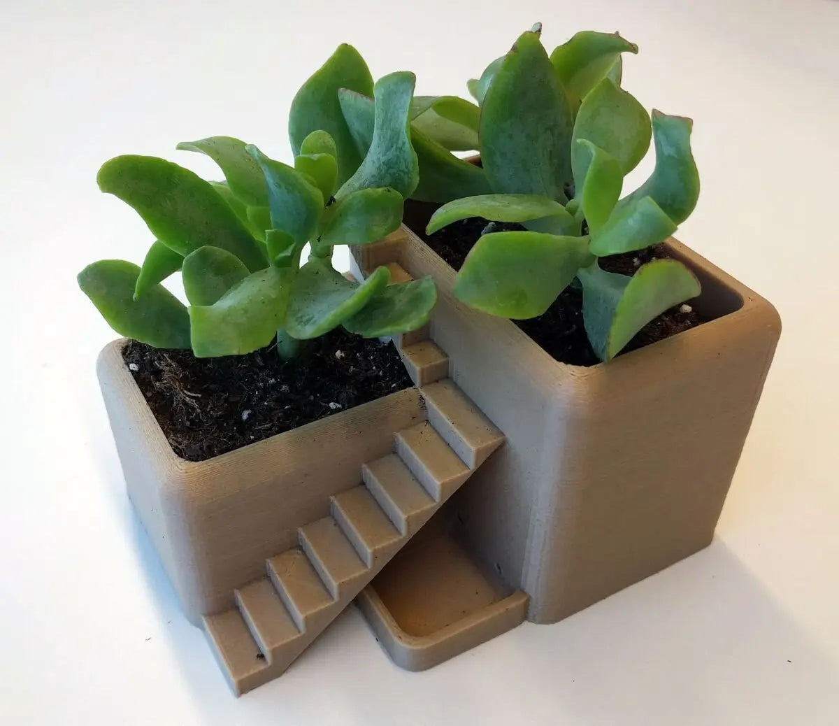 Modern Villa Desk Planter
