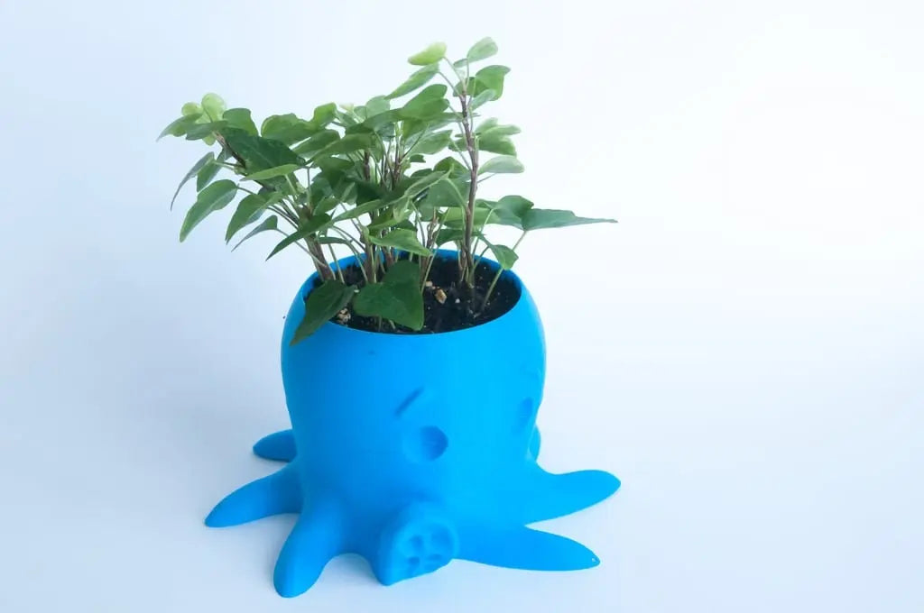 Octopus Planter