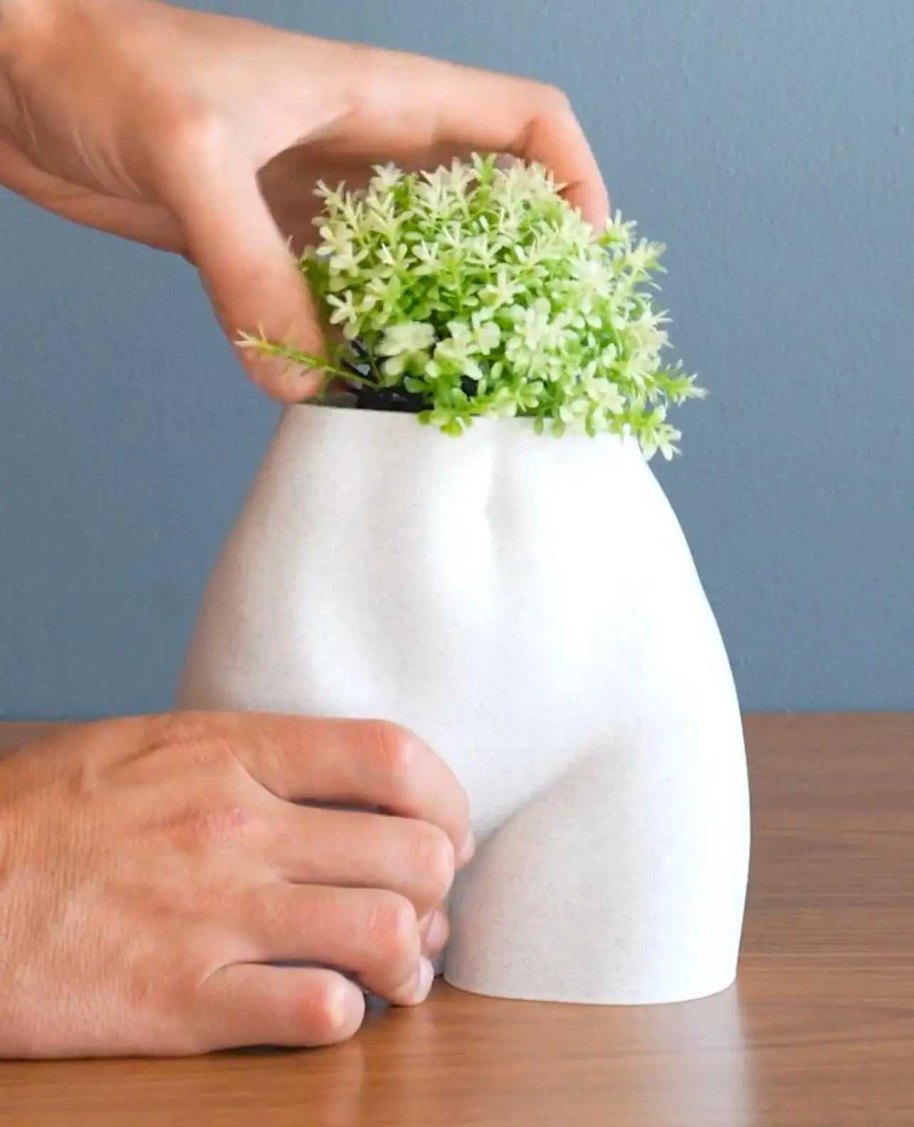 Body Positive Planter: Celebrate Art, Empowerment & Sustainability