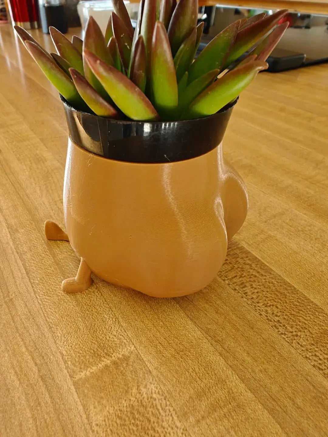 Booty Shape Planter: Playful Planter for Plant Lovers