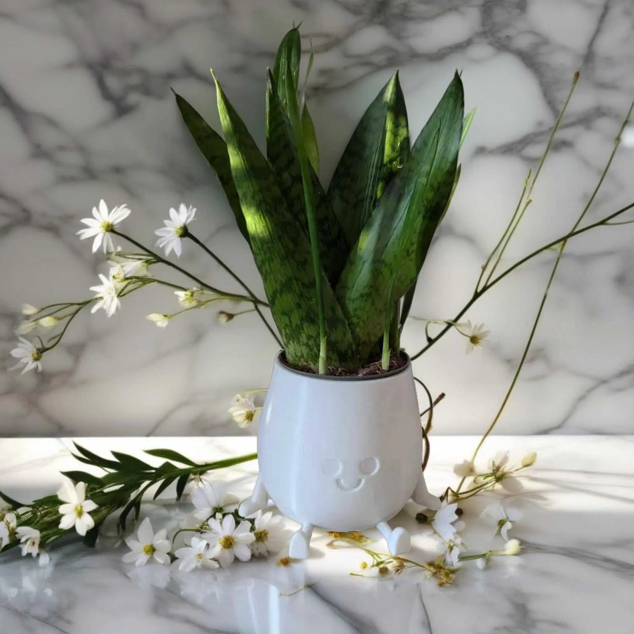 Booty Shape Planter: Playful Planter for Plant Lovers