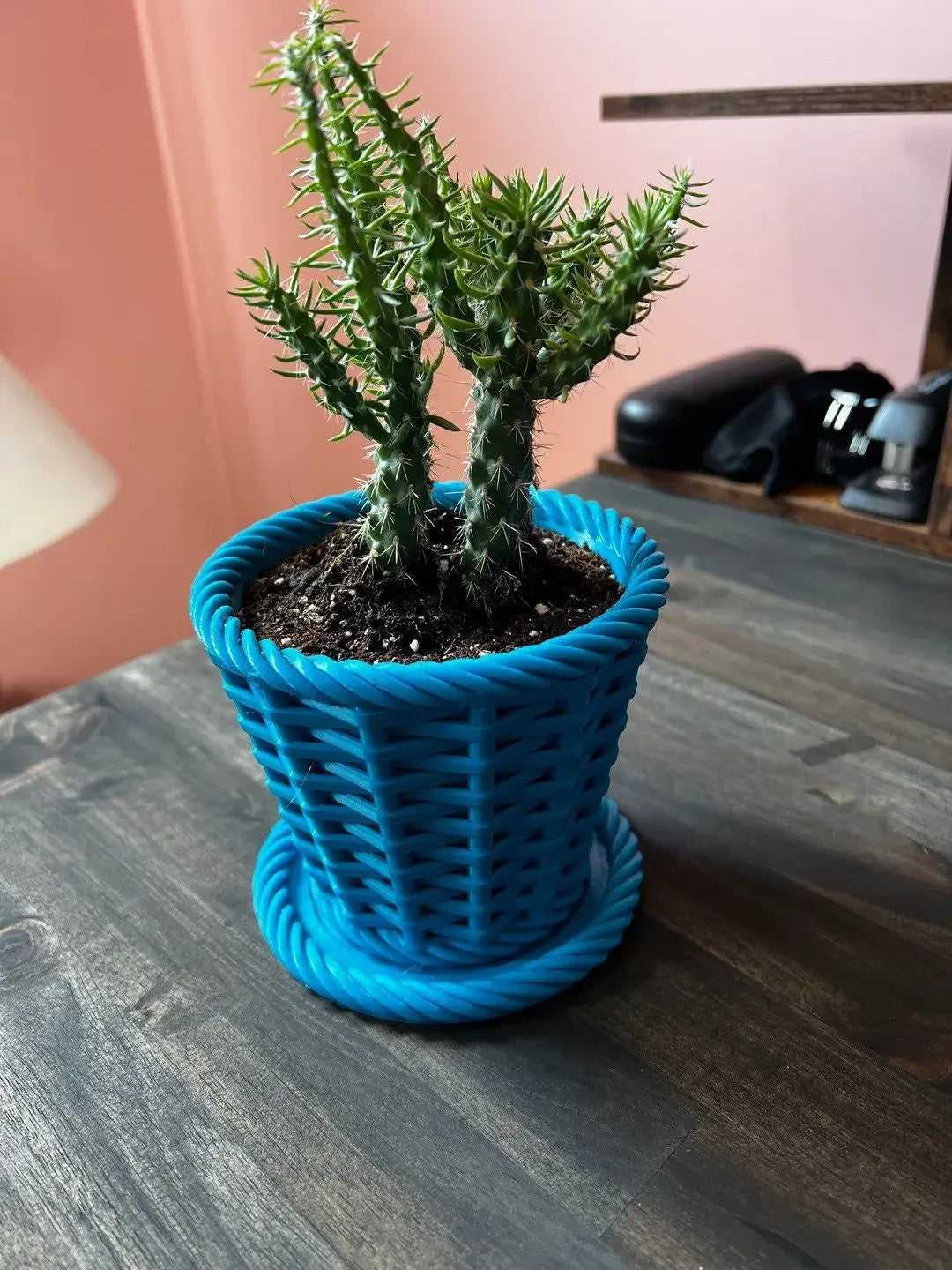 Woven Style Decorative Planter for Modern Eco-Friendly Spaces