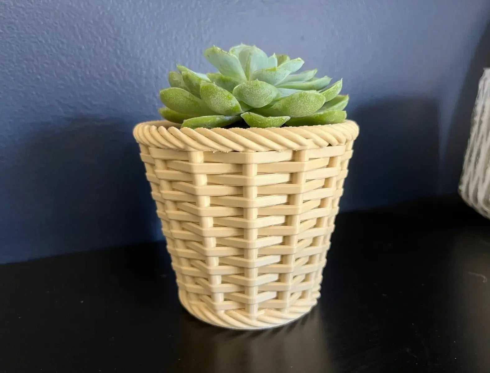 Woven Style Decorative Planter for Modern Eco-Friendly Spaces